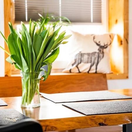 Neu Renoviertes Ferienhaus/Wohnunng Kleine Auszeit Sonnenbühl Extérieur photo