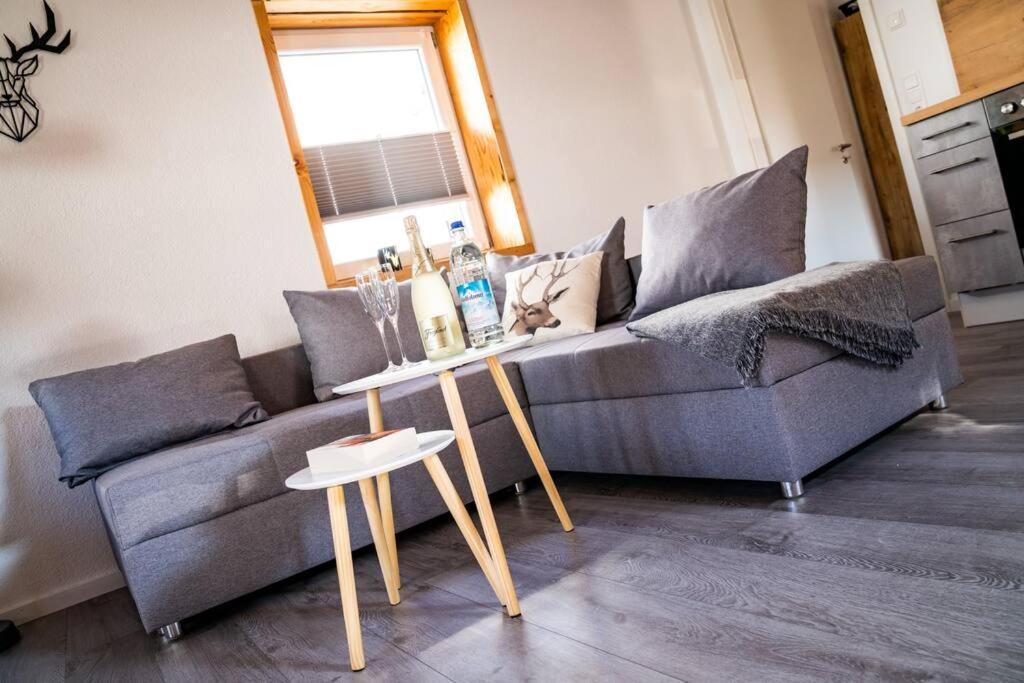 Neu Renoviertes Ferienhaus/Wohnunng Kleine Auszeit Sonnenbühl Extérieur photo